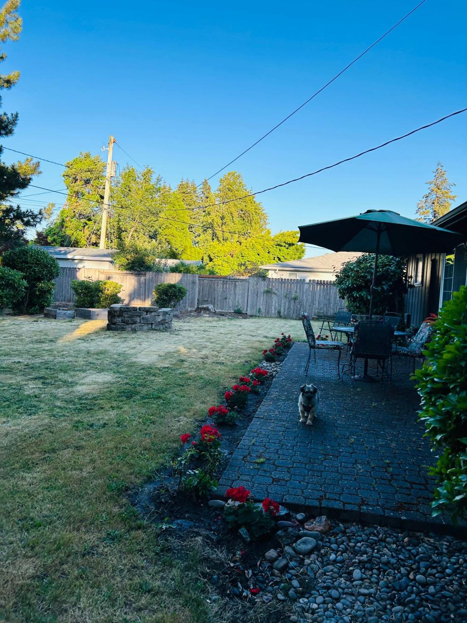 Emerald City 3 Bedroom 1 Bath Home Eugene Eksteriør billede